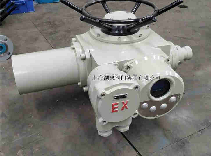 電動執(zhí)行器