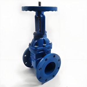 手動(dòng)閘閥Z41T-16 DN50/DN65廠家直銷，上海發(fā)